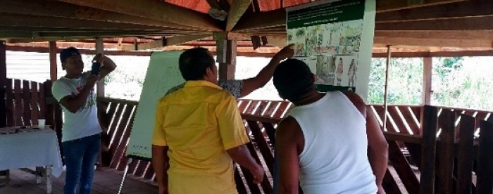  Training van de Wayana in Apetina: dorpskarakterisering, autodiagnose en bosbeheer